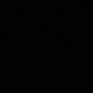 Meet your Posher, Connie